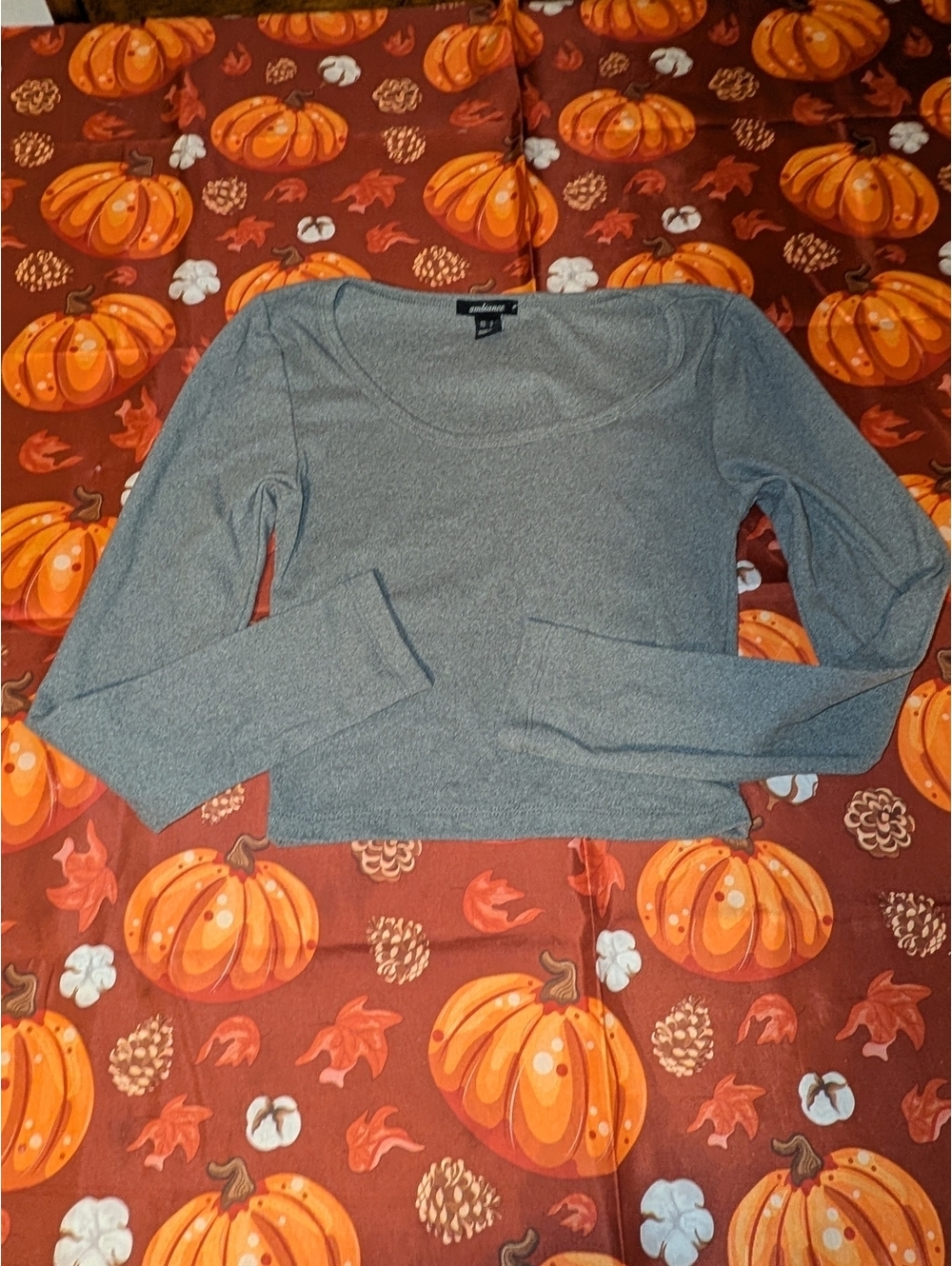 Ambiance Heather Gray Long-Sleeve Scoop Neck Top